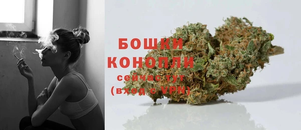 тгк Няндома