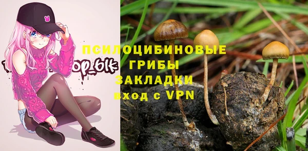 синтетический гашиш Алексин