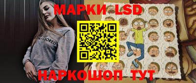 индика Можайск