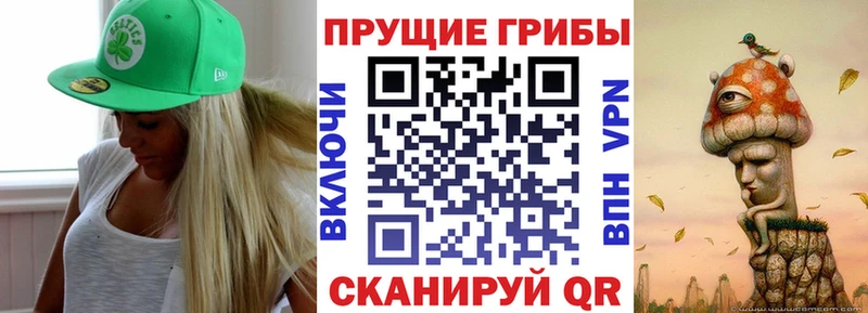 Псилоцибиновые грибы мицелий  Брянск 