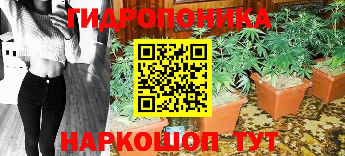Конопля VHQ  Вход с VPN  Канабис гибрид  Конопля OG Kush  Брянск  Канабис LSD WEED 